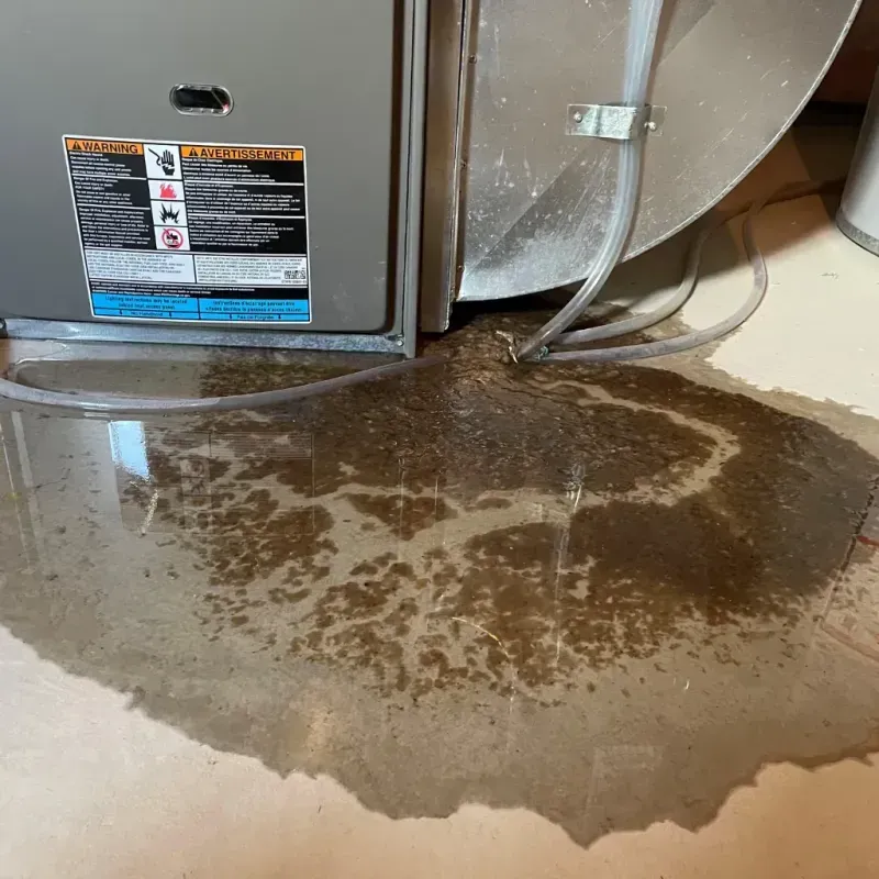 Appliance Leak Cleanup in LaPorte County, IN